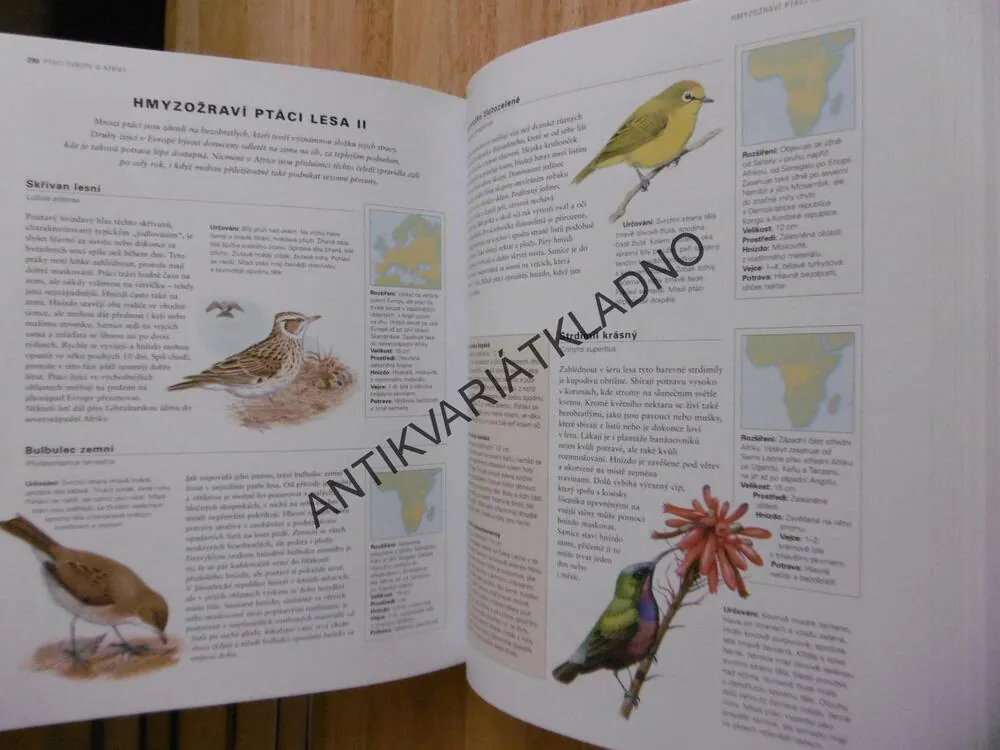 PTÁCI VŠECH KONTINENTŮ, ILUSTROVANÁ ENCYKLOPEDIE, ALDERTON, **an