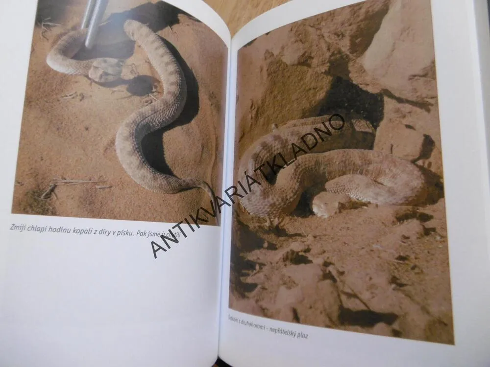 PSYCHOŽELVA LESA A LOV ROHATÝCH ZMIJÍ, J.X.DOLEŽAL 