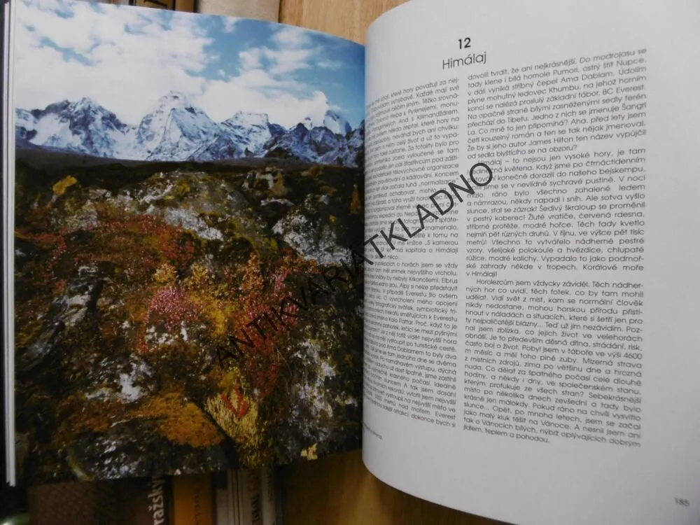 FOTOGRAFIE, JIŘÍ HAVEL, **an