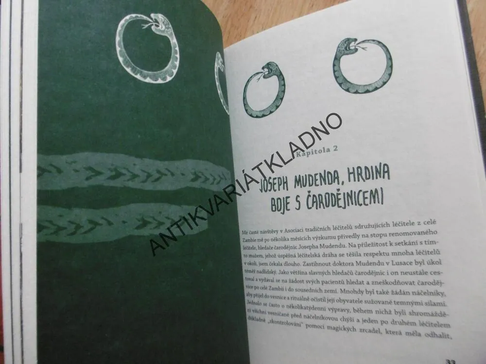 MŮJ SOUSED JE ČARODĚJ, KATEŘINA MILDNEROVÁ, **an