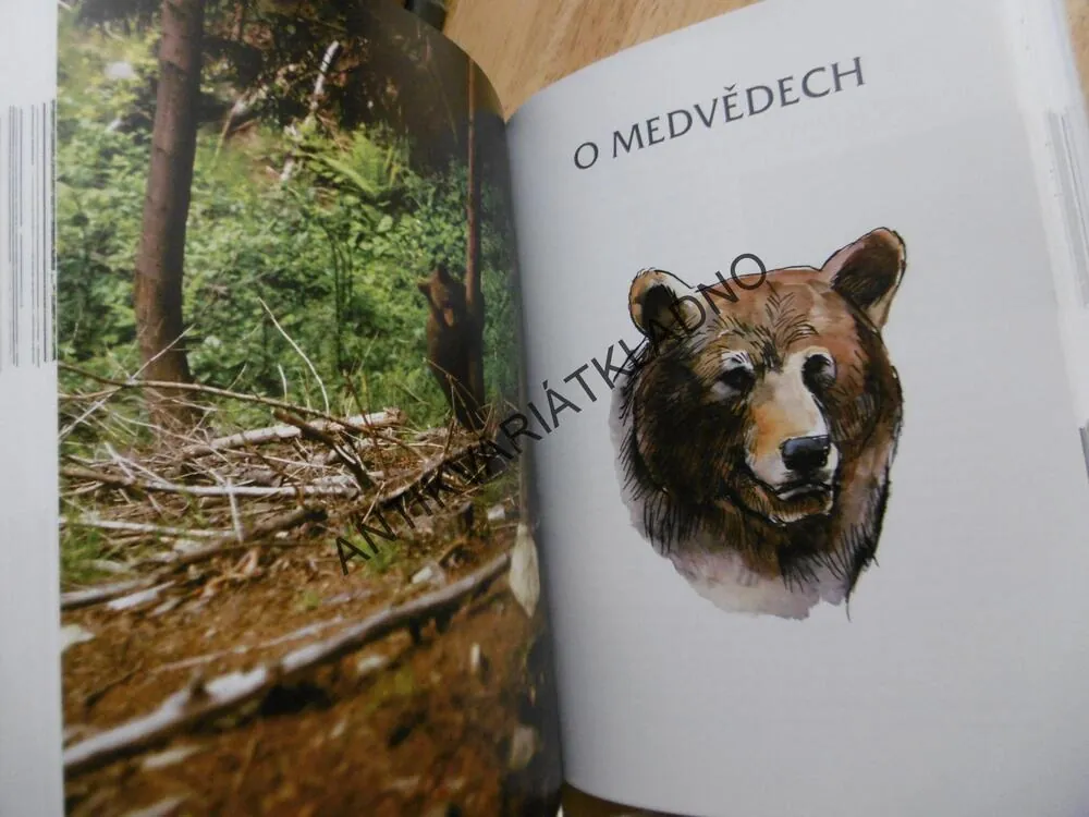 MŮJ PŘÍTEL RYS, Z MEDVĚDÍCH A VLČÍCH BRLOHŮ, LUDVÍK KUNC