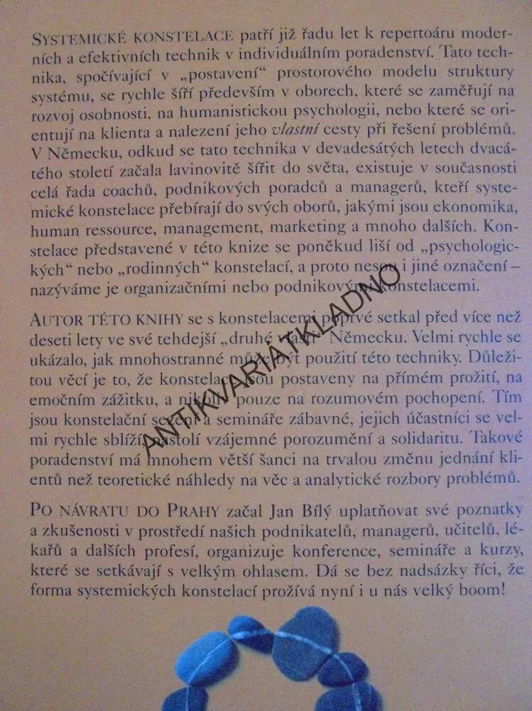 ÚŽASNÁ SÍLA CELKU, ORGANIZAČNÍ,PODNIKOVÉ A EXPERIMENTÁLNÍ KONSTELACE, J.BÍLÝ