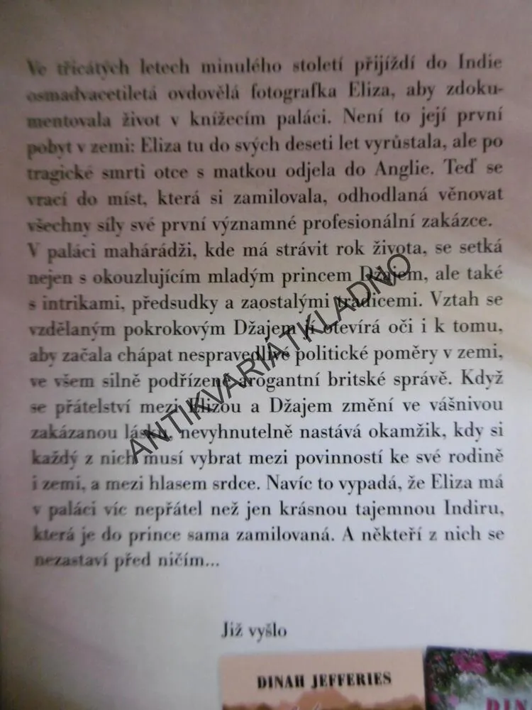 NEŽ NASTANOU DEŠTĚ, DINAH JEFFERIES