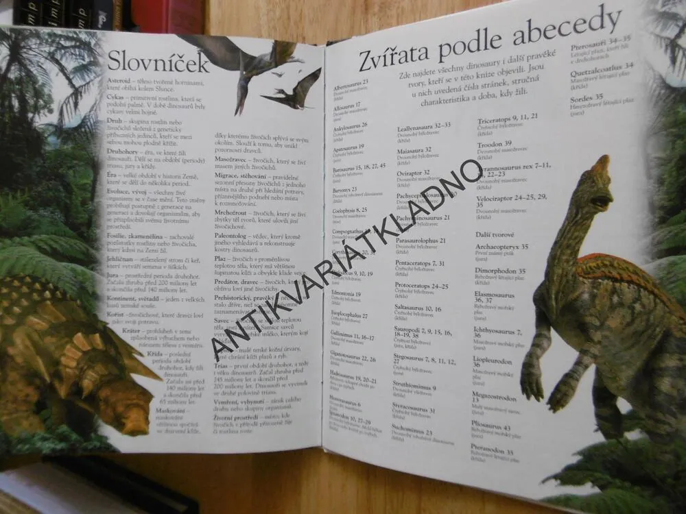 DINOSAUŘI, ŽIVOT, POTRAVA, NÁMLUVY, SOUBOJE, JAK VYHYNULI