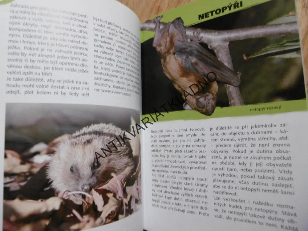 ŽIVÁ ZAHRADA, KŘIVAN, STÝBLO, 