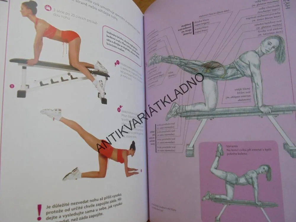 FITNESS PRO ŽENY, ANATOMIE, DELAVIER, POSILOVÁNÍ,SPORT
