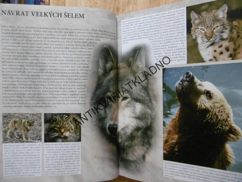 TO NEJZAJÍMAVĚJŠÍ Z ČESKÉ PŘÍRODY, HANA A VLADIMÍR MOTYČKOVI, **an