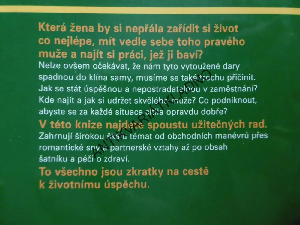 MĚJTE VŠECH PĚT POHROMADĚ!, ŠIKOVNÉ ZKRATKY NA CESTĚ ŽIVOTEM, GILMANOVÁ, **an