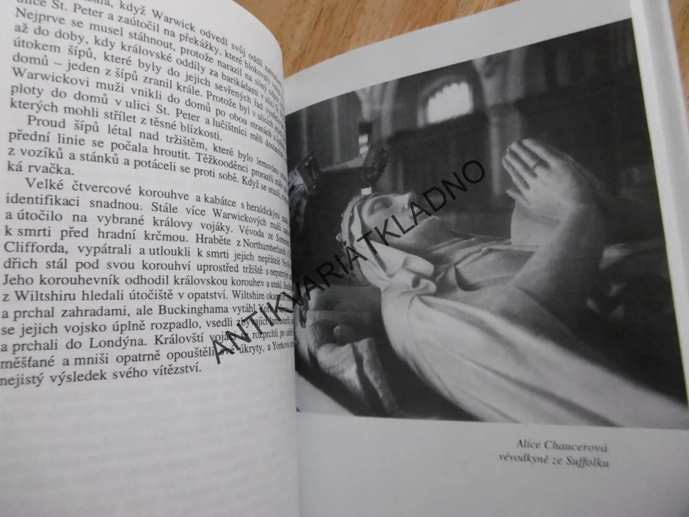 VÁLKY RŮŽÍ, ROBIN NEILLANDS, **an