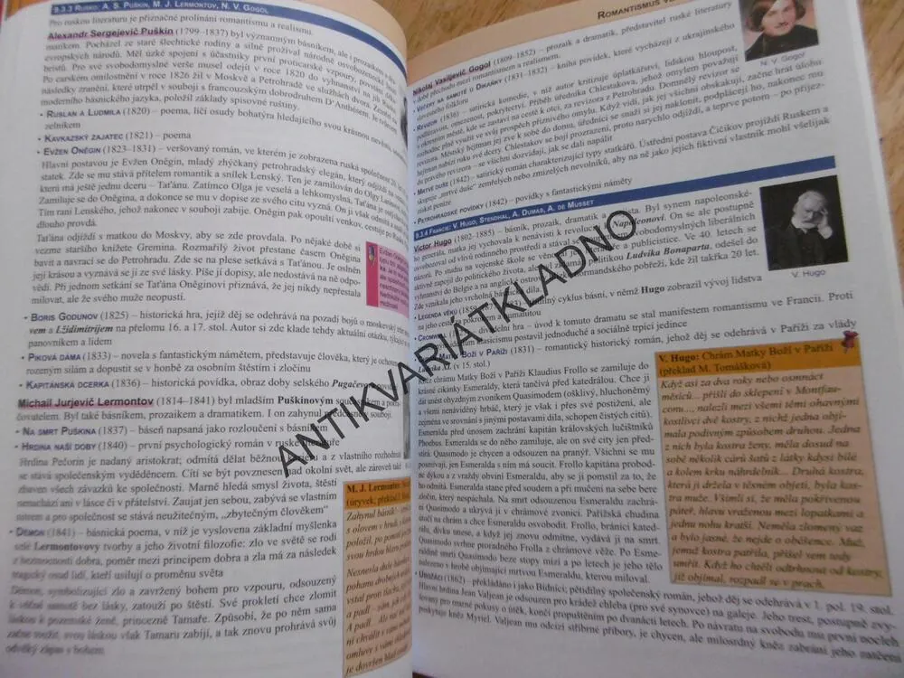 LITERATURA PŘEHLED STŘEDOŠKOLSKÉHO UČIVA, EDICE MATURITA
