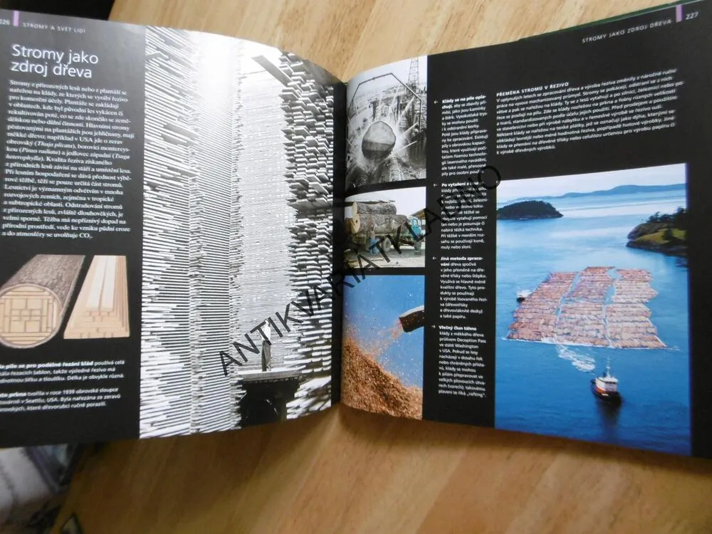 STROMY, VELKÝ OBRAZOVÝ PRŮVODCE, TONY RODD, JENNIFER STACKHOUSE