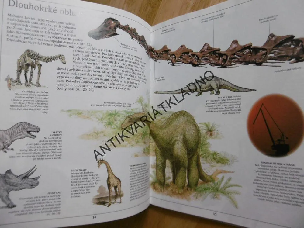 DINOSAUŘI, VIDĚT, POZNAT, VĚDĚT, **an