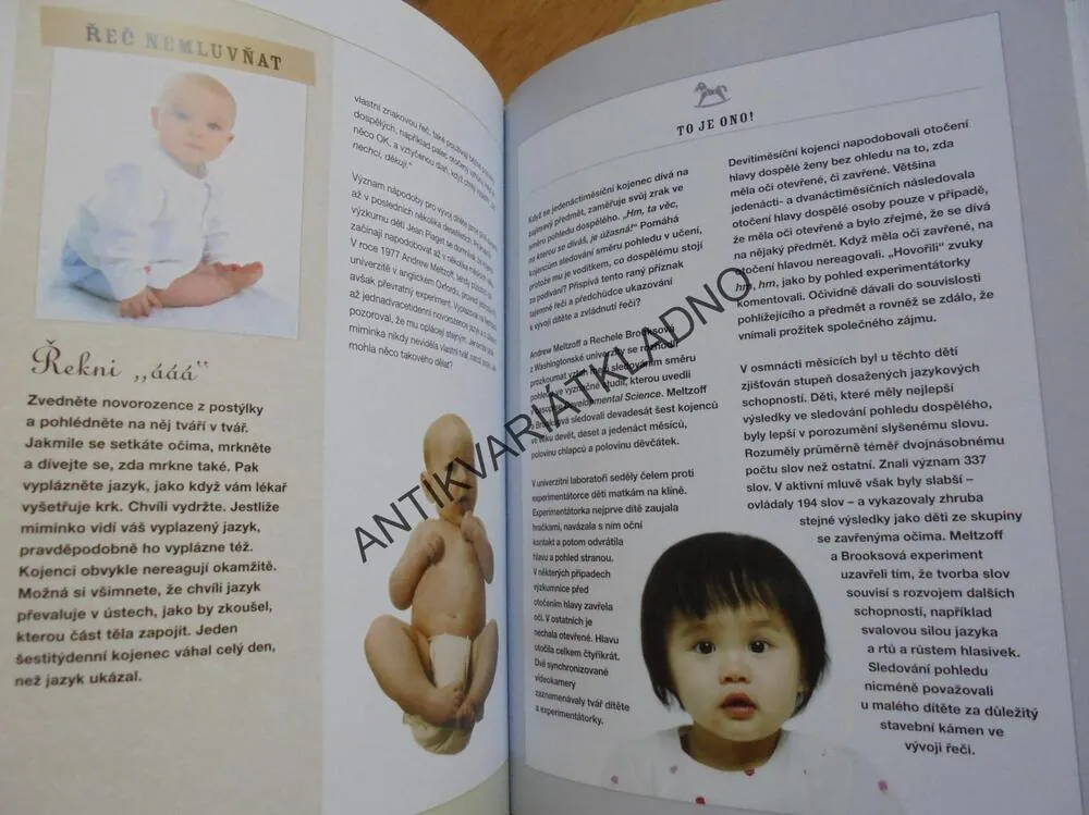 KDOPAK TO MLUVÍ, TAJEMSTVÍ ŘEČI KOJENCE,KIESTEROVI, LOGOPEDIE