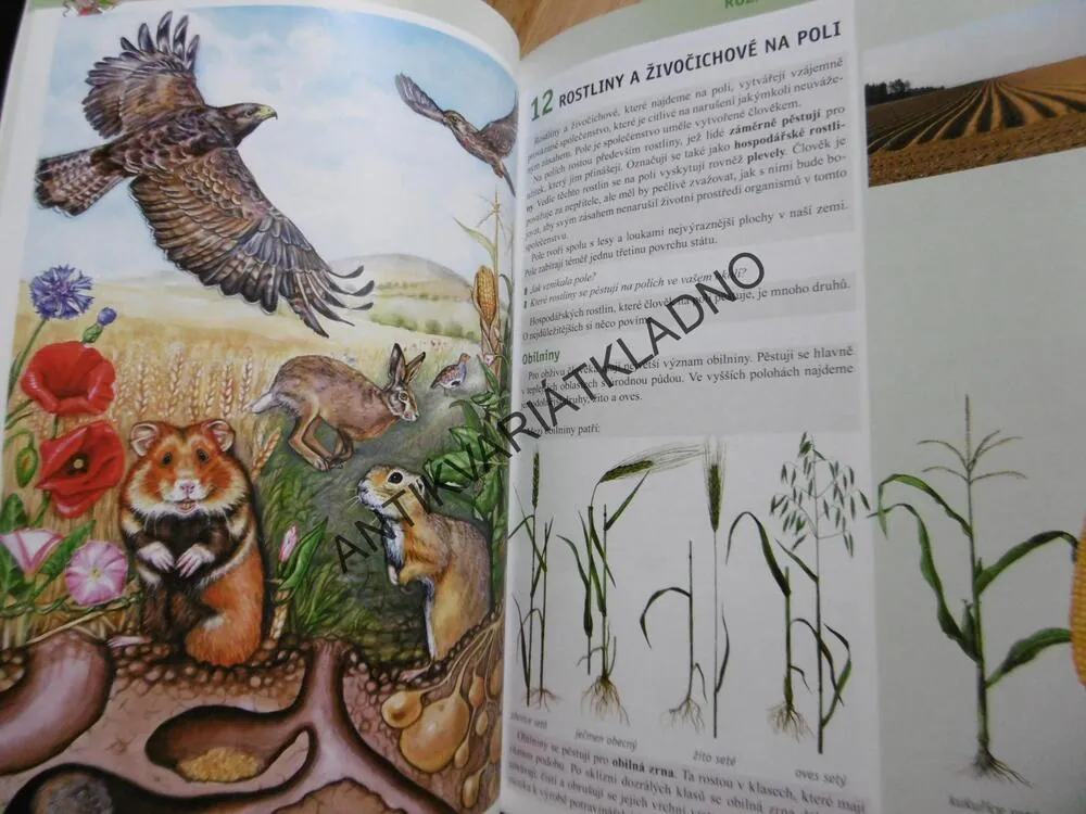 PŘÍRODOVĚDA 4., ČLOVĚK A JEHO SVĚT