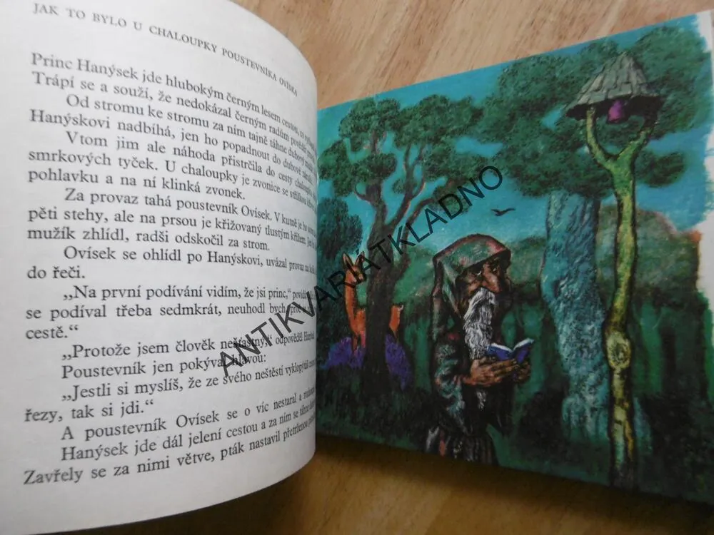 MALÁ ZLÁ KOUZELNICE A DRAK, VÁCLAV ČTVRTEK, JAN ČERNÝ, 1974