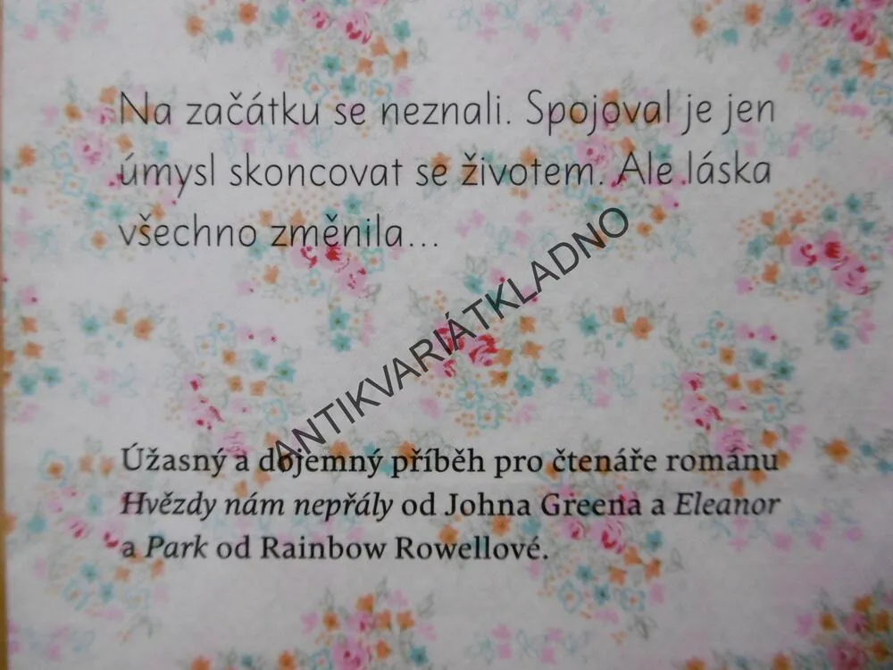 MOJE SRDCE A JINÉ ČERNÉ DÍRY, JASMINE WARGAOVÁ