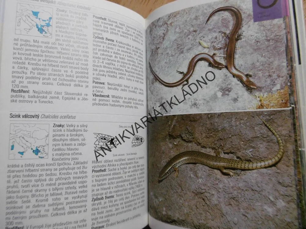OBOJŽIVELNÍCI A PLAZI, PRŮVODCE PŘÍRODOU, **an