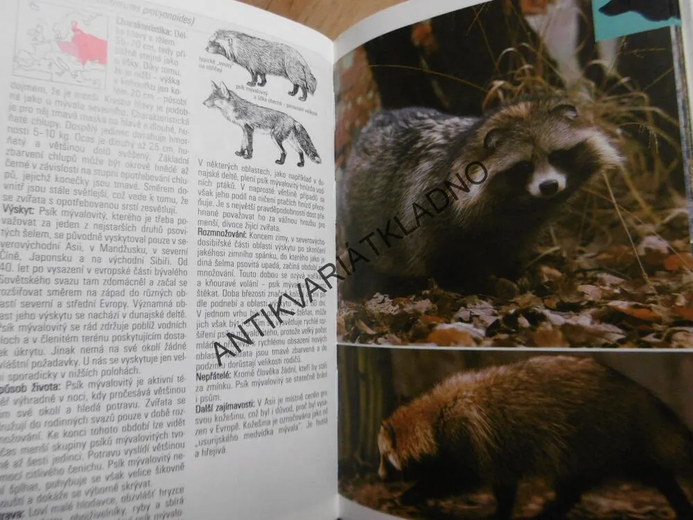 SAVCI, PRŮVODCE PŘÍRODOU, **an