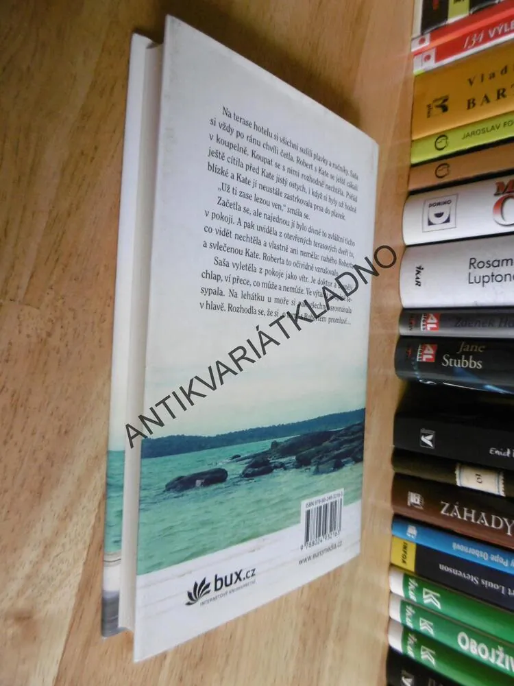 HRA O HOLČIČKU, SOŇA ŠTROBLOVÁ, **an