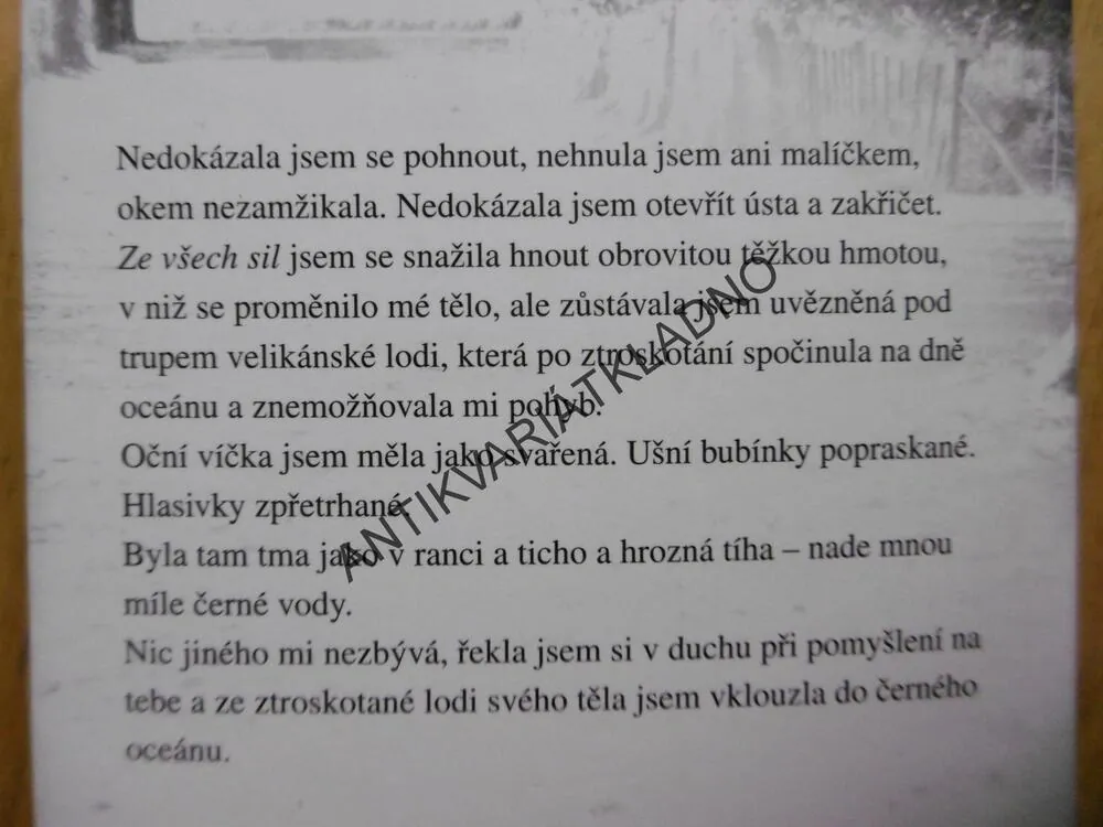 V PLAMENECH, ROSAMUND LUPTONOVÁ, **an
