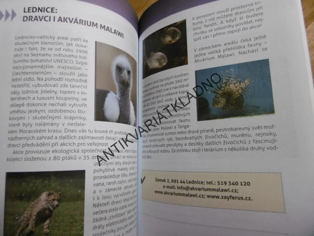 134 VÝLETŮ ZA ZVÍŘÁTKY, PRO CELOU RODINU, LENKA PECHAROVÁ, **an