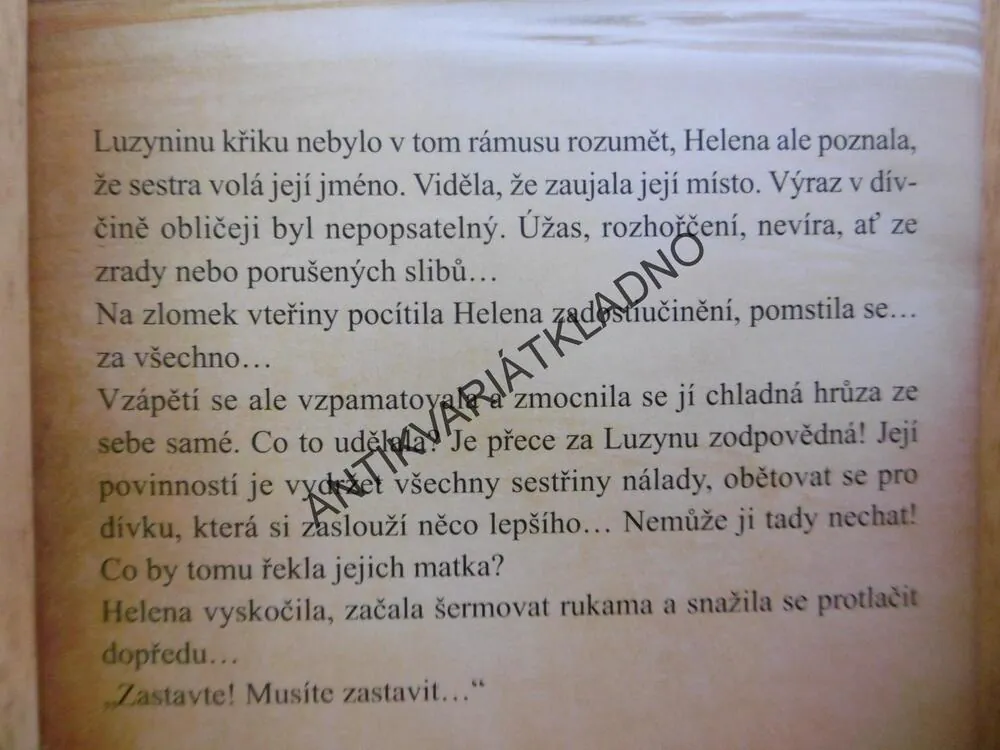 NADĚJE NA KONCI SVĚTA, SARAH LARKOVÁ, **an