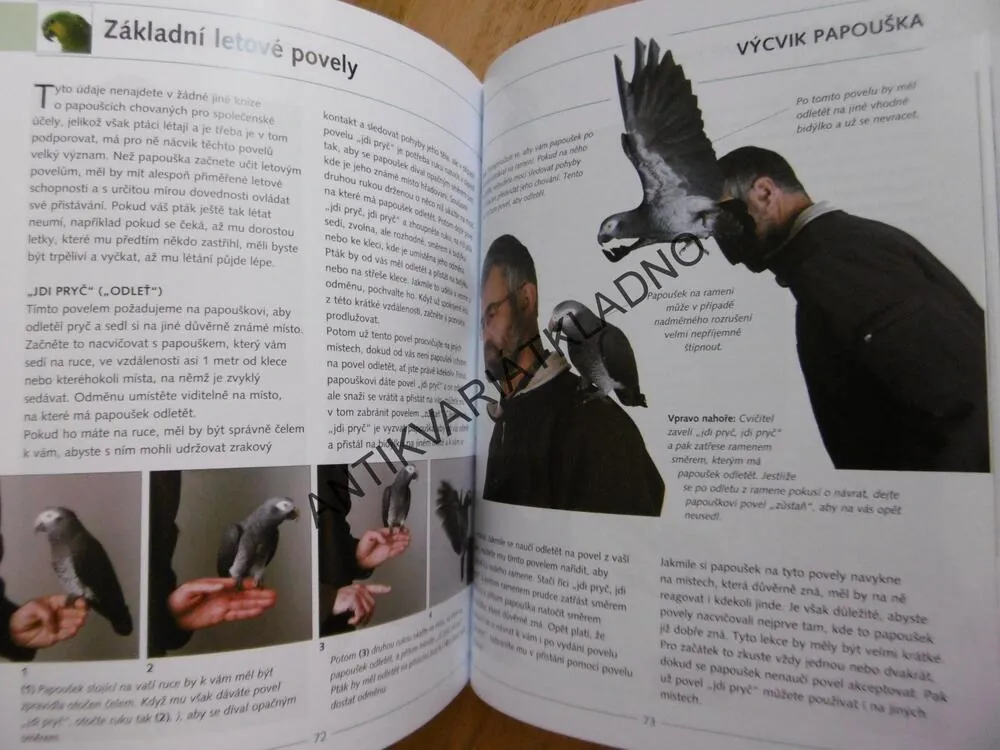 ŠKOLA PRO PAPOUŠKY, GREG GLENDELL