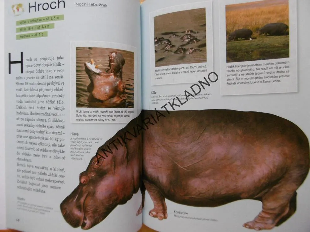 ZAJÍMAVOSTI ZE SVĚTA ZVÍŘAT, **an