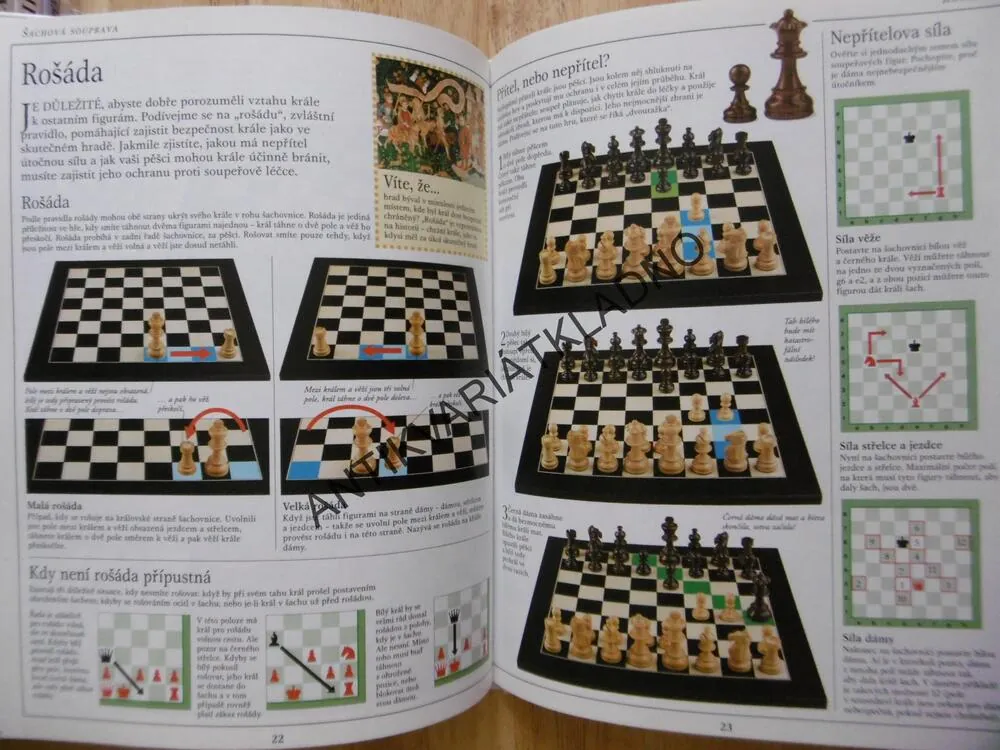 ŠACHY, PRAVIDLA, TECHNIKY, STRATEGIE, MICHAEL BASMAN