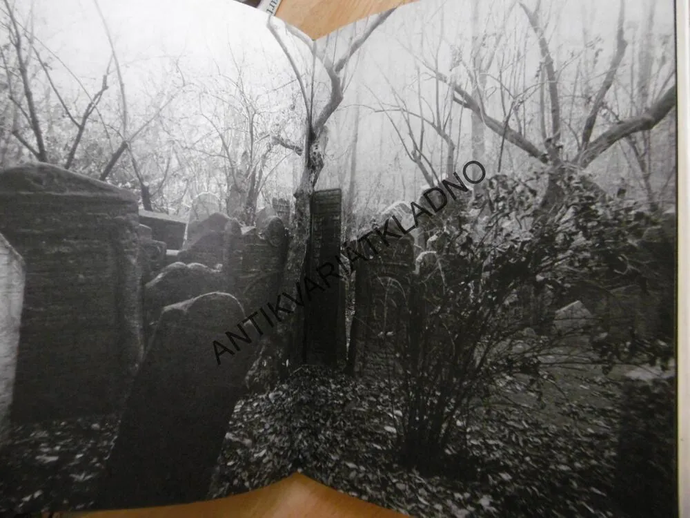 PRAŽSKÝ CHODEC, VÍTĚZSLAV NEZVAL, JOSEF SUDEK, FOTOGRAF, FOTOGRAFIE, **an