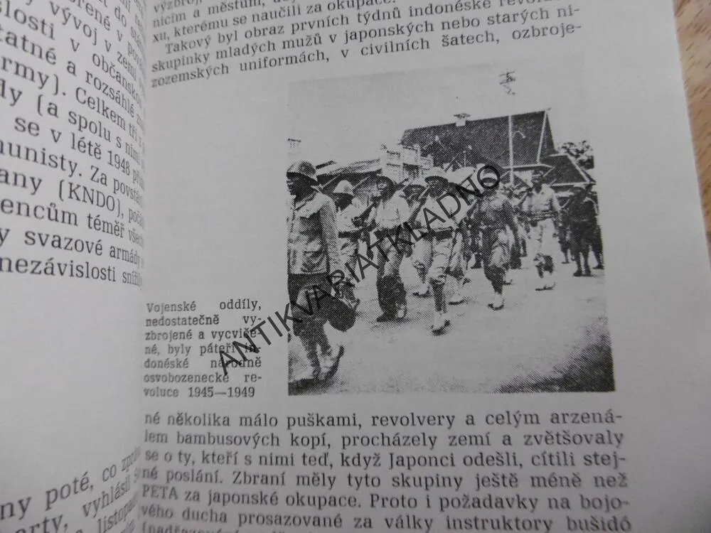 ARMÁDA A MOC V ROZVOJOVÝCH ZENÍCH JIŽNÍ A JIHOVÝCHODNÍ ASIE
