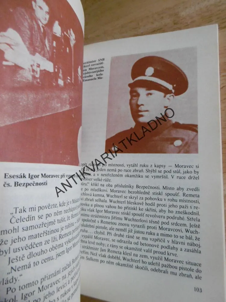 SMRT ZE ZÁLOHY, OTA HOLUB, **an