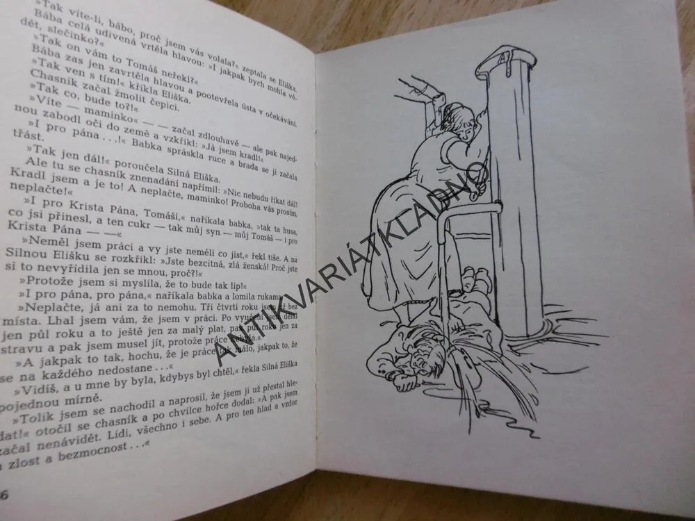 VÍTR POUŠTĚ A ZLATÉ PTÁČE, HELENA RUDLOVÁ, FRANT. KLEINER, 1948, **an