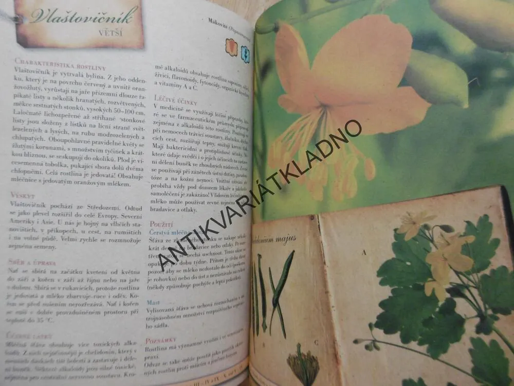 ZDRAVÍ Z BABIČČINY LÉKÁRNY,**an
