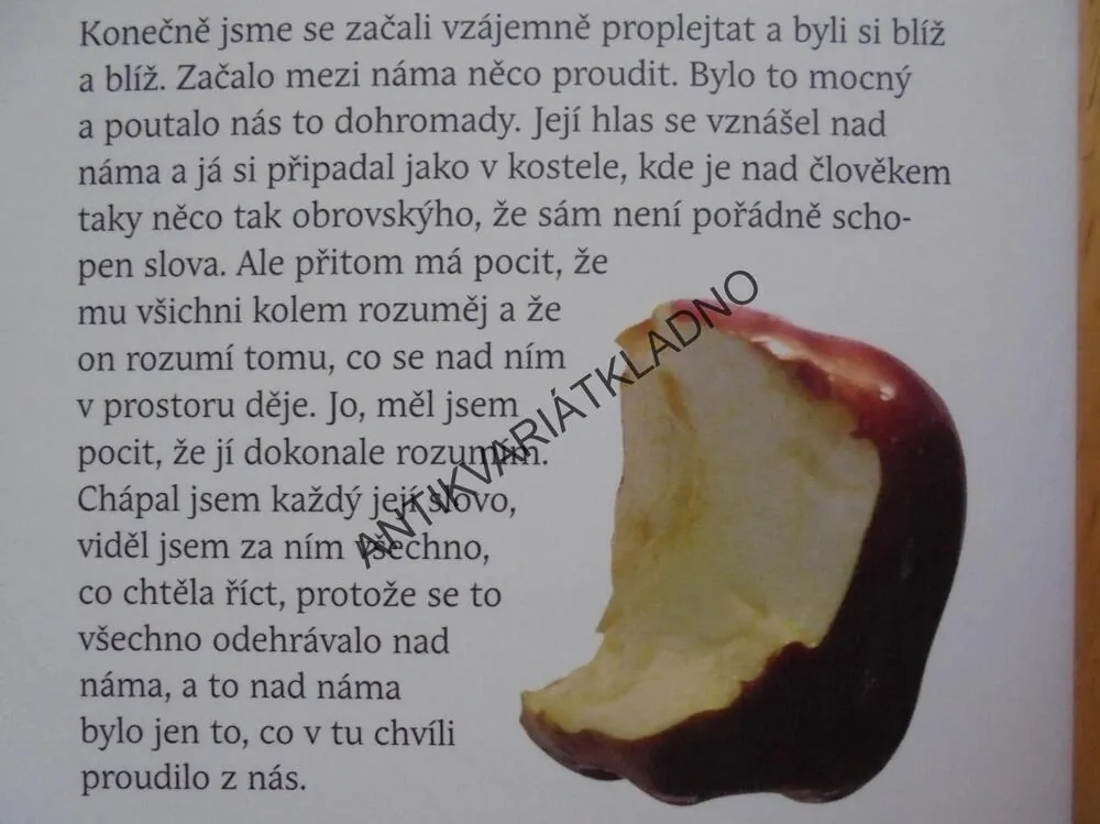 TRAMVAJ DO STANICE, JAN PAVEL, **an