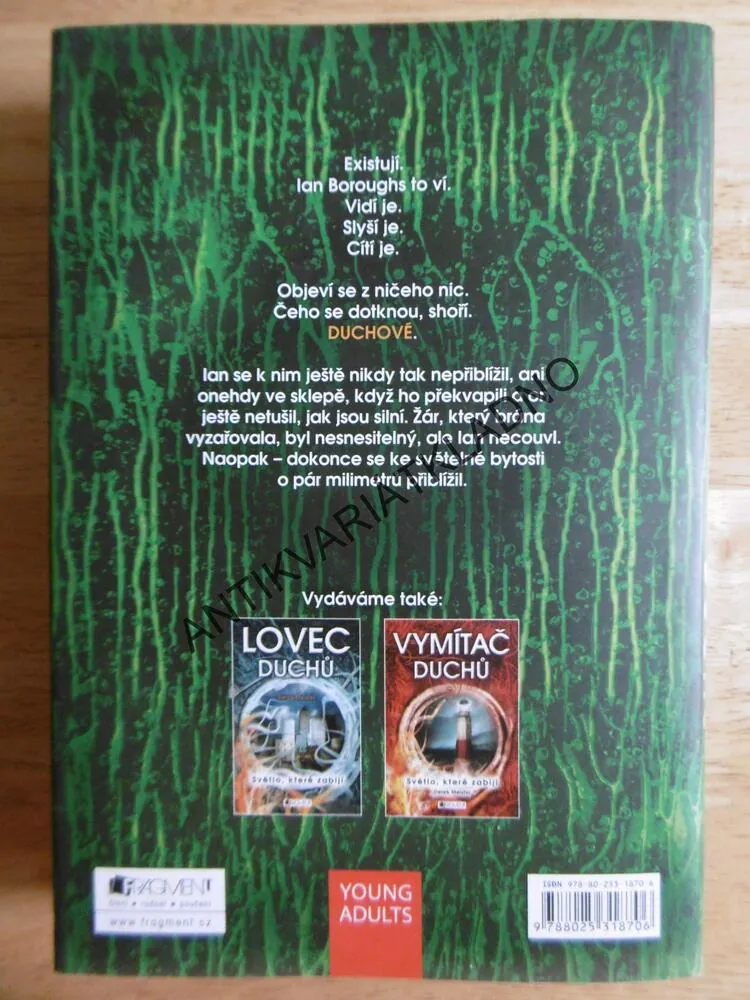 VLÁDCE DUCHŮ, DEREK MEISTER, SVĚTLO, KTERÉ ZABÍJÍ,