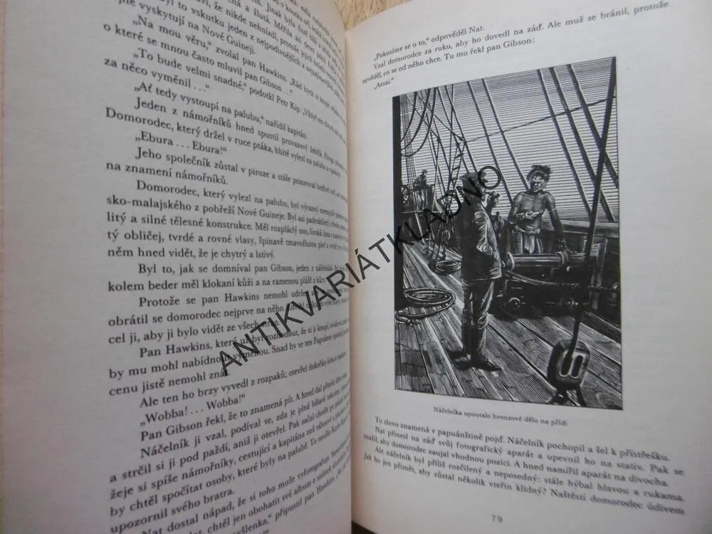 BRATŘI KIPOVÉ, JULES VERNE, 1973