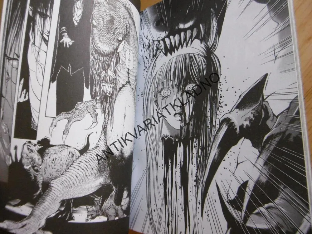 KANNONINA RUKA, MANGA KOMIKS, 