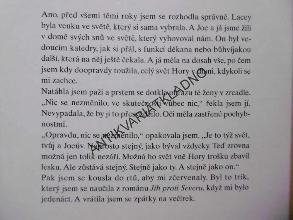 BEZPEČNÉ VÝŠINY, ANNE RIVERS SIDDONSOVÁ, **an