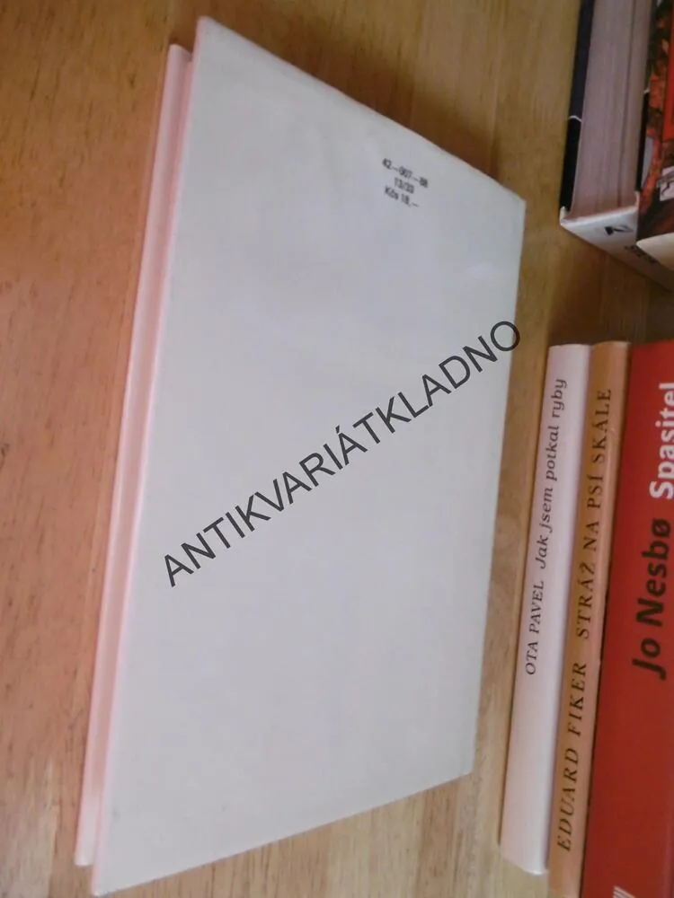 RÁJ TICHÝCH BLÁZNŮ, PETR KETTNER, NEPRAKTA, **an