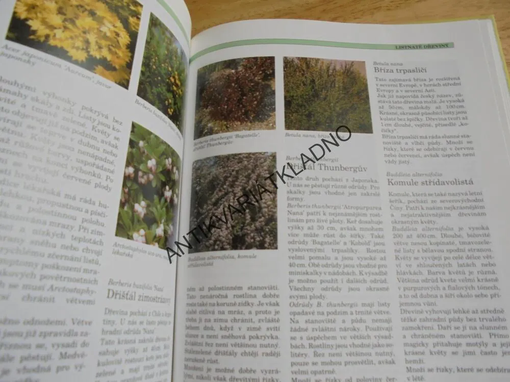 SKALKY, EFEKTNÍ USPOŘÁDÁNÍ A OŠETŘOVÁNÍ