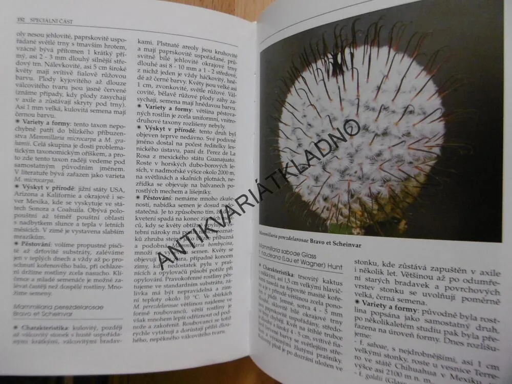 KAKTUSY A JAK JE PĚSTOVAT, ZAHRADA PRO RADOST, NAŠE HOBY. ŘÍHA, ŠUBÍK