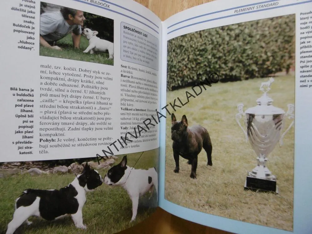 FRANCOUZSKÝ BULDOČEK, PES, MURIEL P.LEEOVÁ, **an