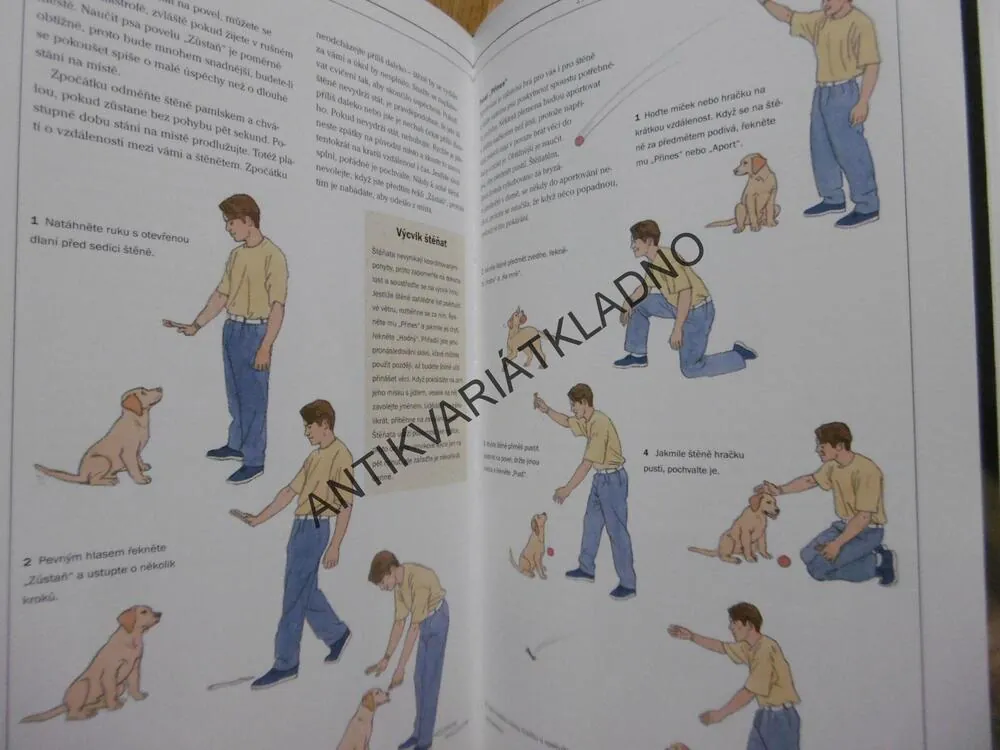 RÁDCE PRO MILOVNÍKY PSŮ, PES, **an
