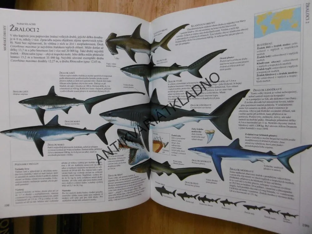 RYBAŘENÍ, RYBY, VYBAVENÍ A TECHNIKY SLADKOVODNÍHO A MOŘSKÉHO SPORTOVNÍHO RYBOLOVU, **an