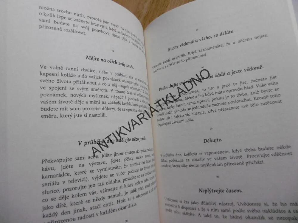 MŮŽEŠ VŠE, CO CHCEŠ, KATY YAKSHA, **an