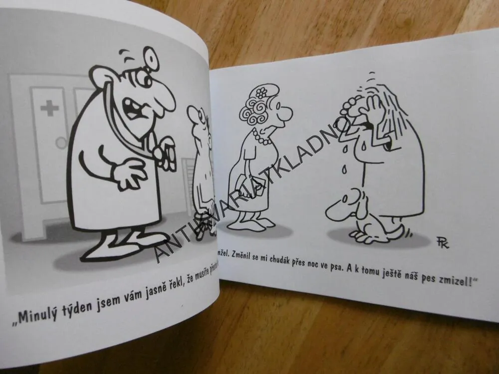 LÉK NA MANŽELSTVÍ, PAVEL KANTOREK