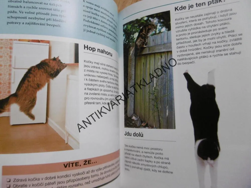 KOČKA A JEJÍ ŘEČ, VŠECHNO O TOM, JAK POROZUMĚT CHOVÁNÍ KOČKY, PAVLA KROUPOVÁ, GWEN BAILEY, **an