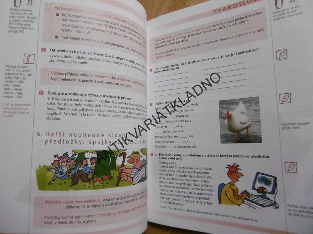 ČESKÝ JAZYK, 7. PRO ZÁKLADNÍ ŠKOLY A VÍCELETÁ GYMNÁZIA, 