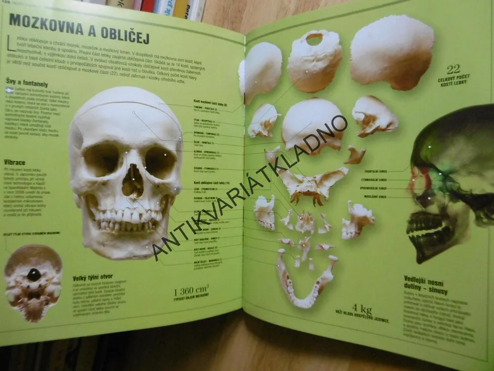 LIDSKÉ TĚLO, PRŮVODCE PRO CELOU RODINU, ANATOMIE, ILUSTROVANÝ ATLAS, **an